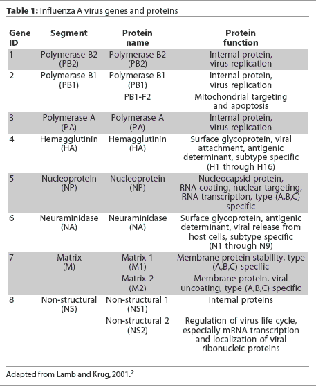 Table 1