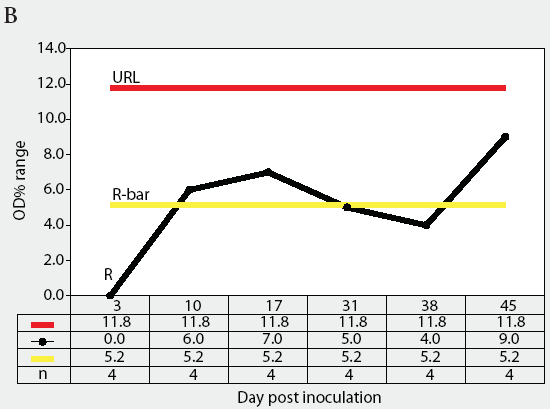 Figure 3B