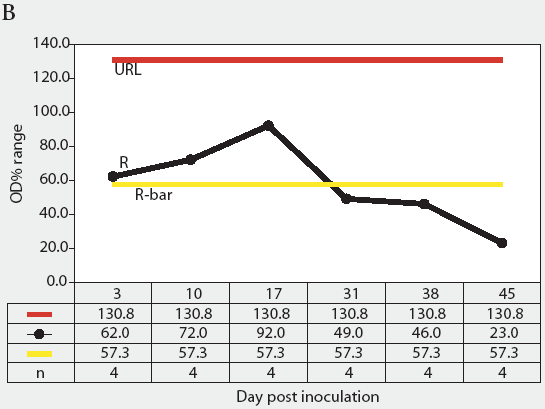 Figure 5B