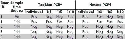 Table 3