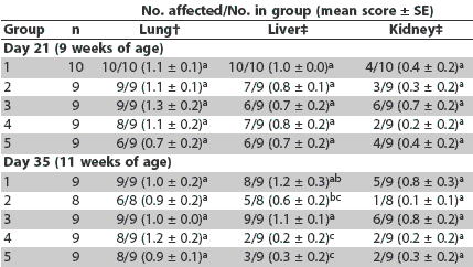 Table 4