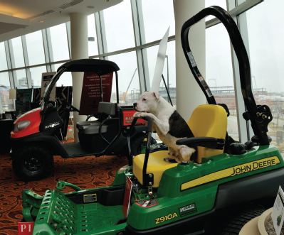 small dog on tractor seat with paws on control levers