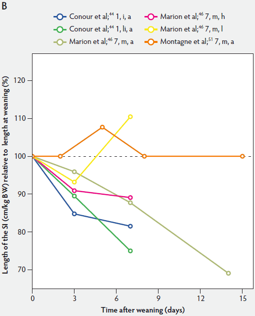 Figure 1-B