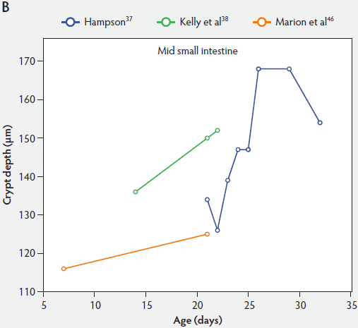 Figure 3-B