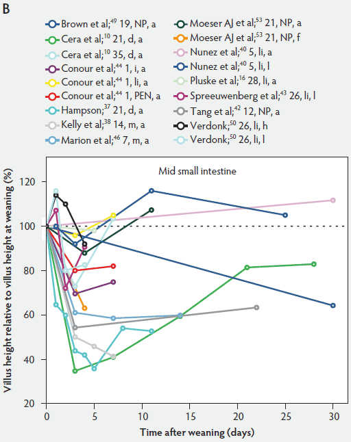 Figure 4-B