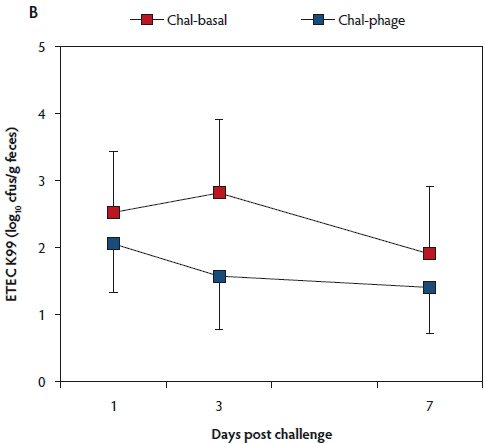 Figure 1b