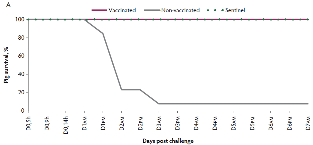 Figure 1A