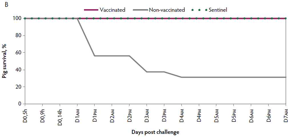 Figure 1B