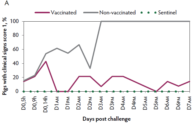 Figure 2A