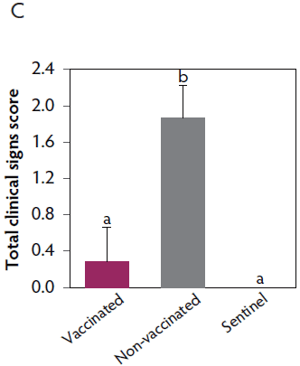 Figure 2C