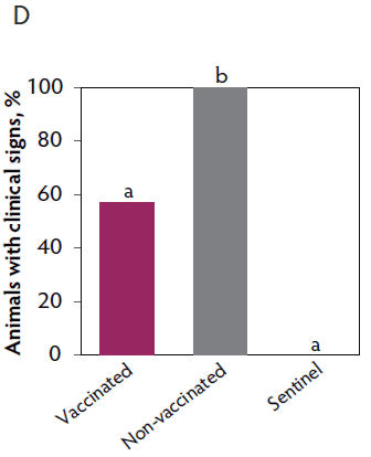 Figure 2D