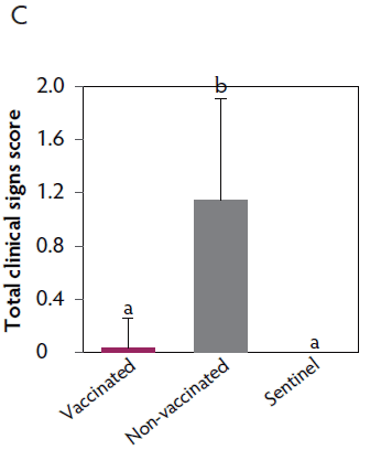 Figure 3C