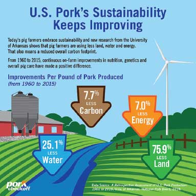 Sustainability infographic