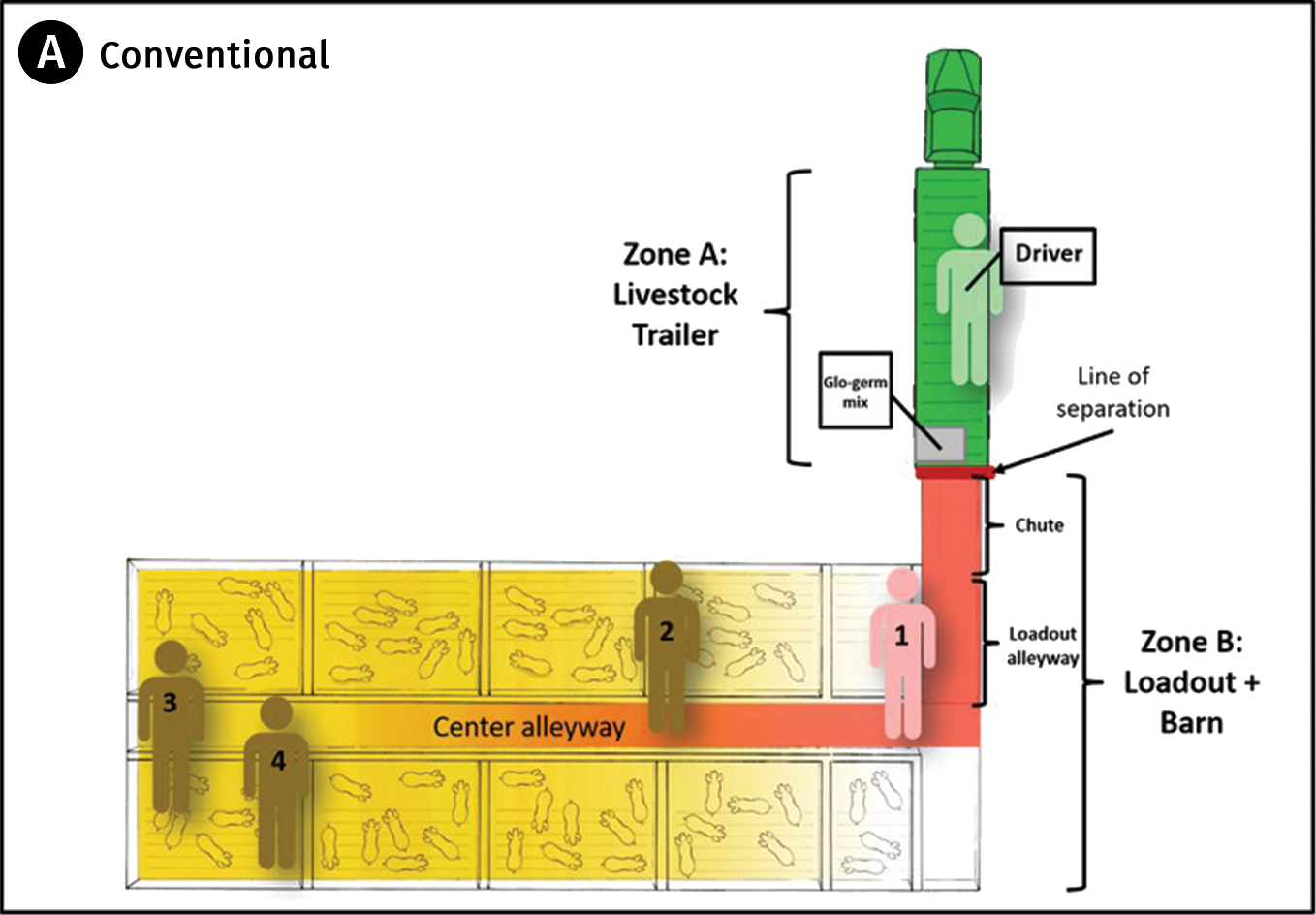 Figure 1a