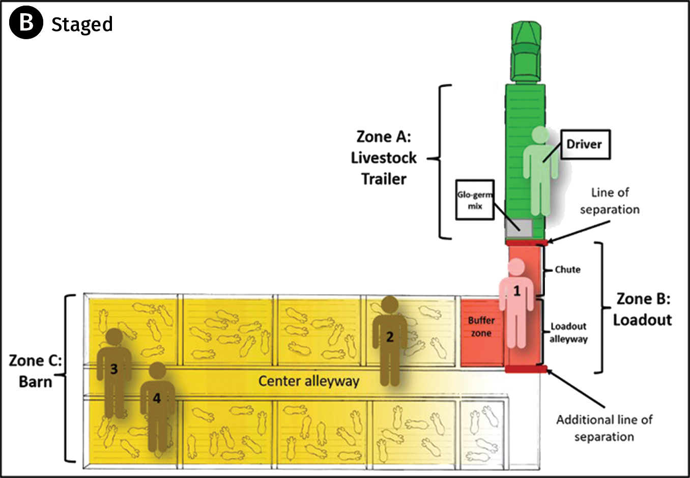 Figure 1b